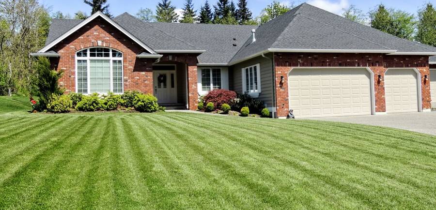 Sod Installation by 941 Tree Services LLC