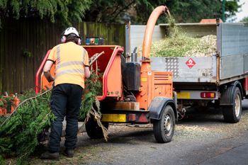 Wood chipper services in Terra Ceia, Florida by 941 Tree Services LLC