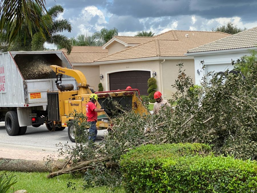 Tree Removal by 941 Tree Services LLC