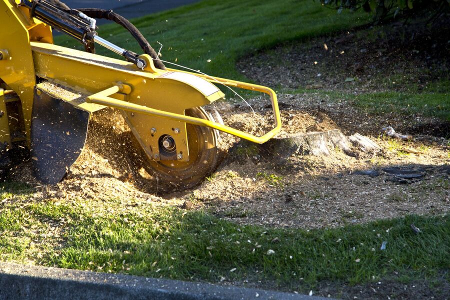 Stump Grinding & Stump Removal by 941 Tree Services LLC