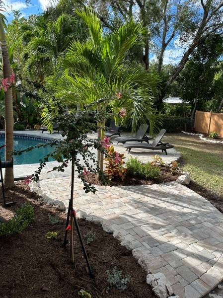 Before & After Landscaping in Sarasota, FL (3)