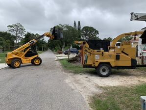 Tree Removal in South Bradenton, FL (2)