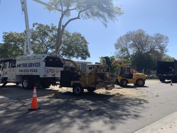 Tree Services in Venice, FL (1)