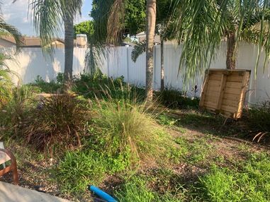 Before and After Landscaping in Sarasota, FL (1)