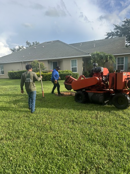Stump Grinding & Removal in Palmetto, FL (1)