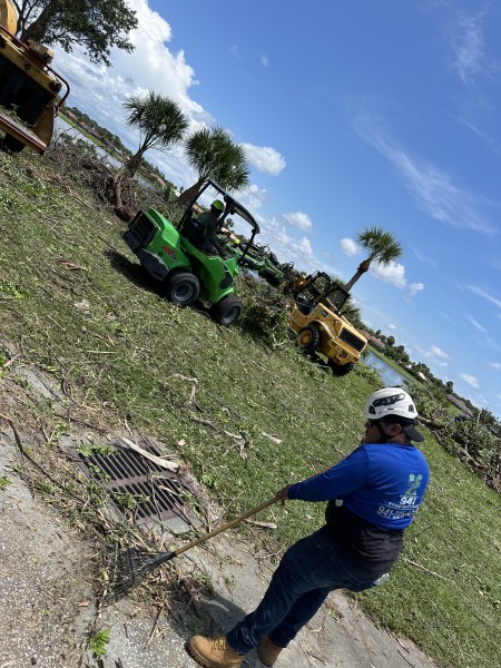 Land Clearing in Ellenton, FL (1)