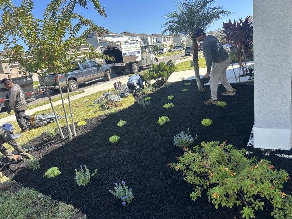 Landscaping Services in Bradenton, FL (1)