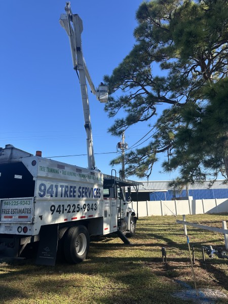 Commercial Tree Services in Venice, FL (1)