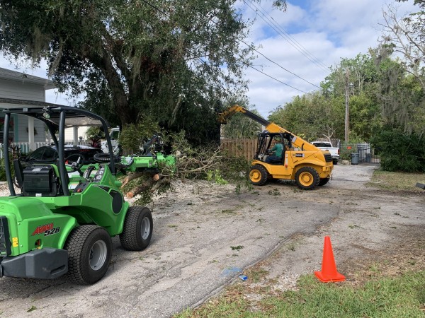 Tree Removal in Bradenton, FL (1)